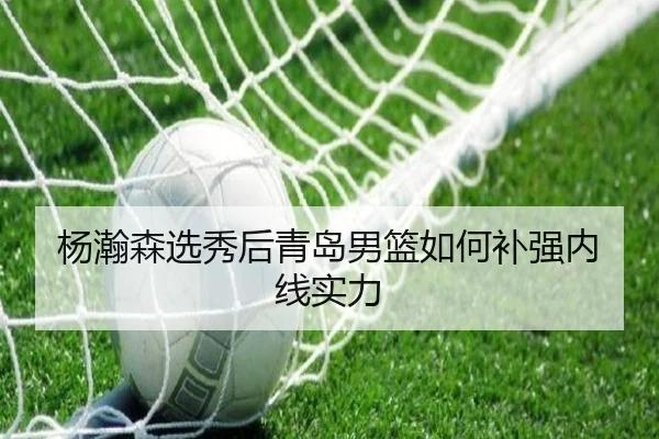 杨瀚森选秀后青岛男篮如何补强内线实力